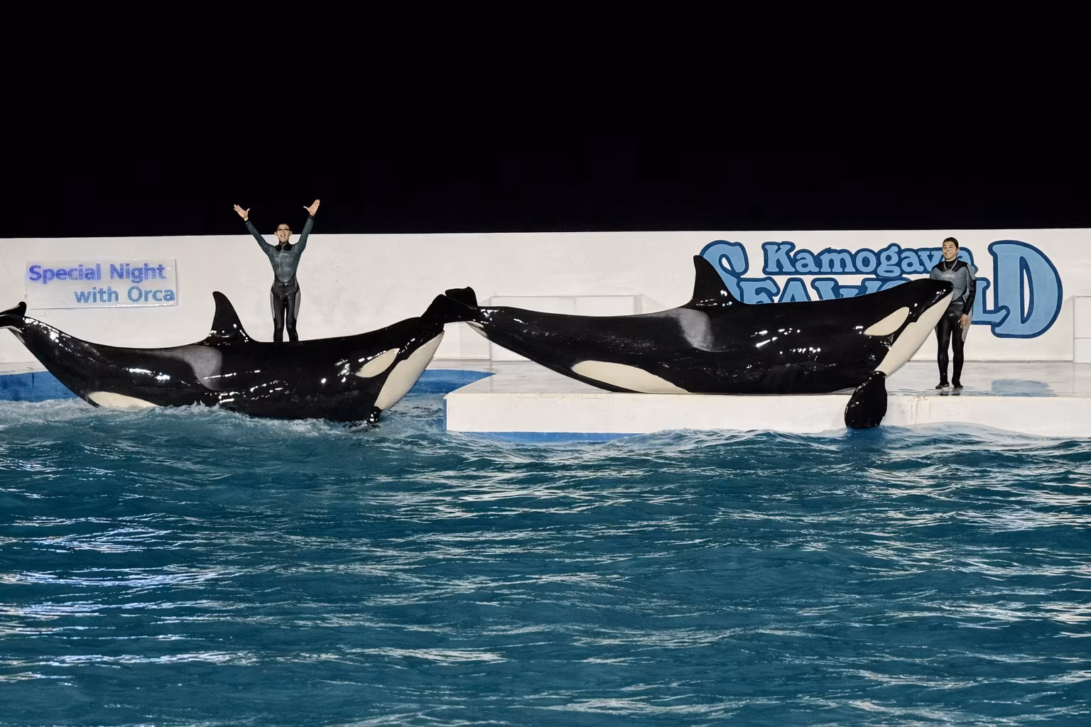 Featured image of the post