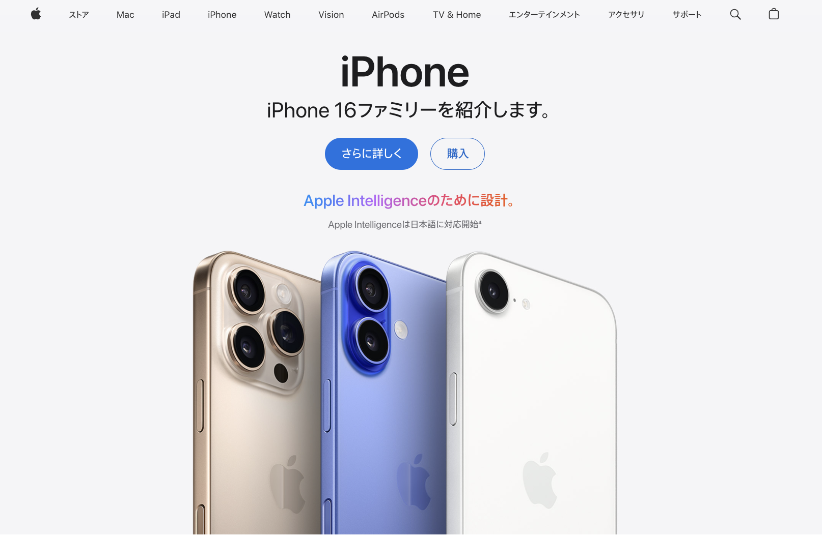 Image in a image block