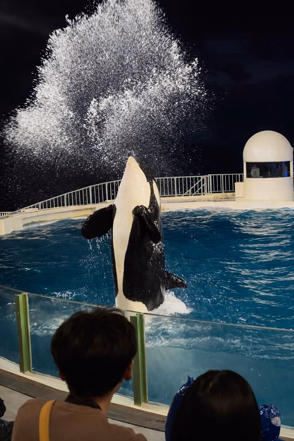 Image in a image block